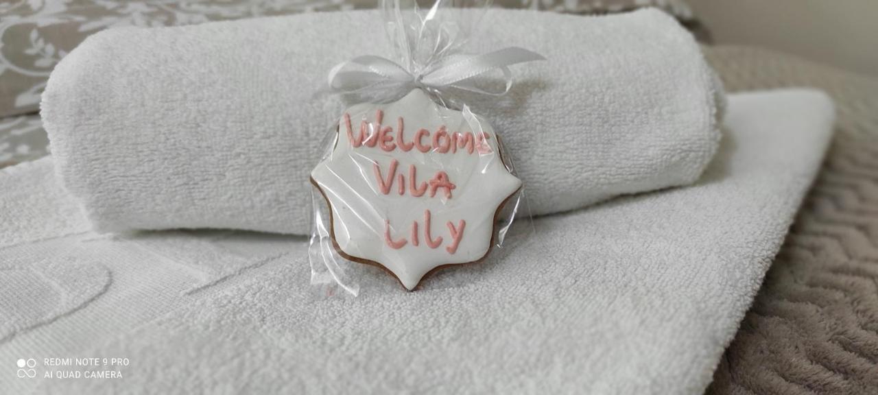 Willa Vila Lily Smederevo Zewnętrze zdjęcie